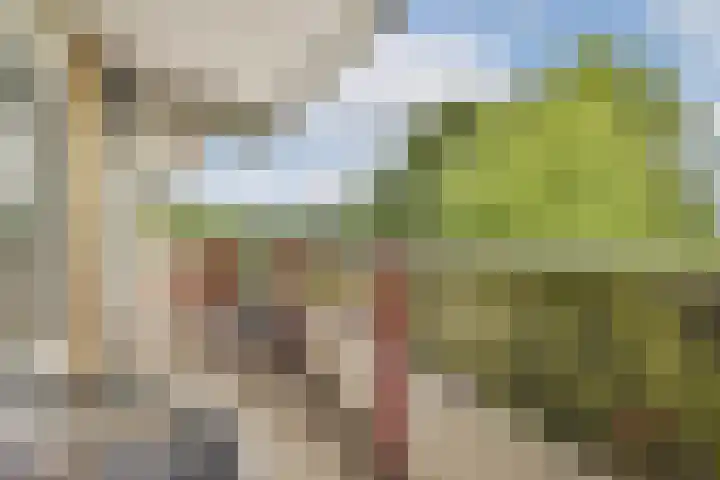 Dr. Willem Dreesweg 480 Amstelveen thumbnail 5
