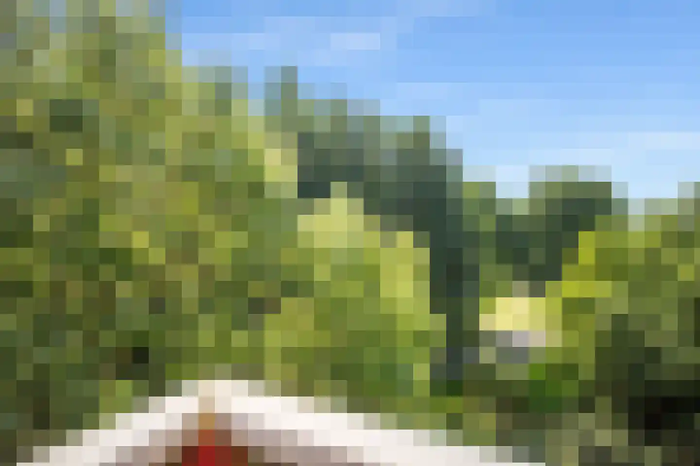Dr. Willem Dreesweg 490 Amstelveen thumbnail 17