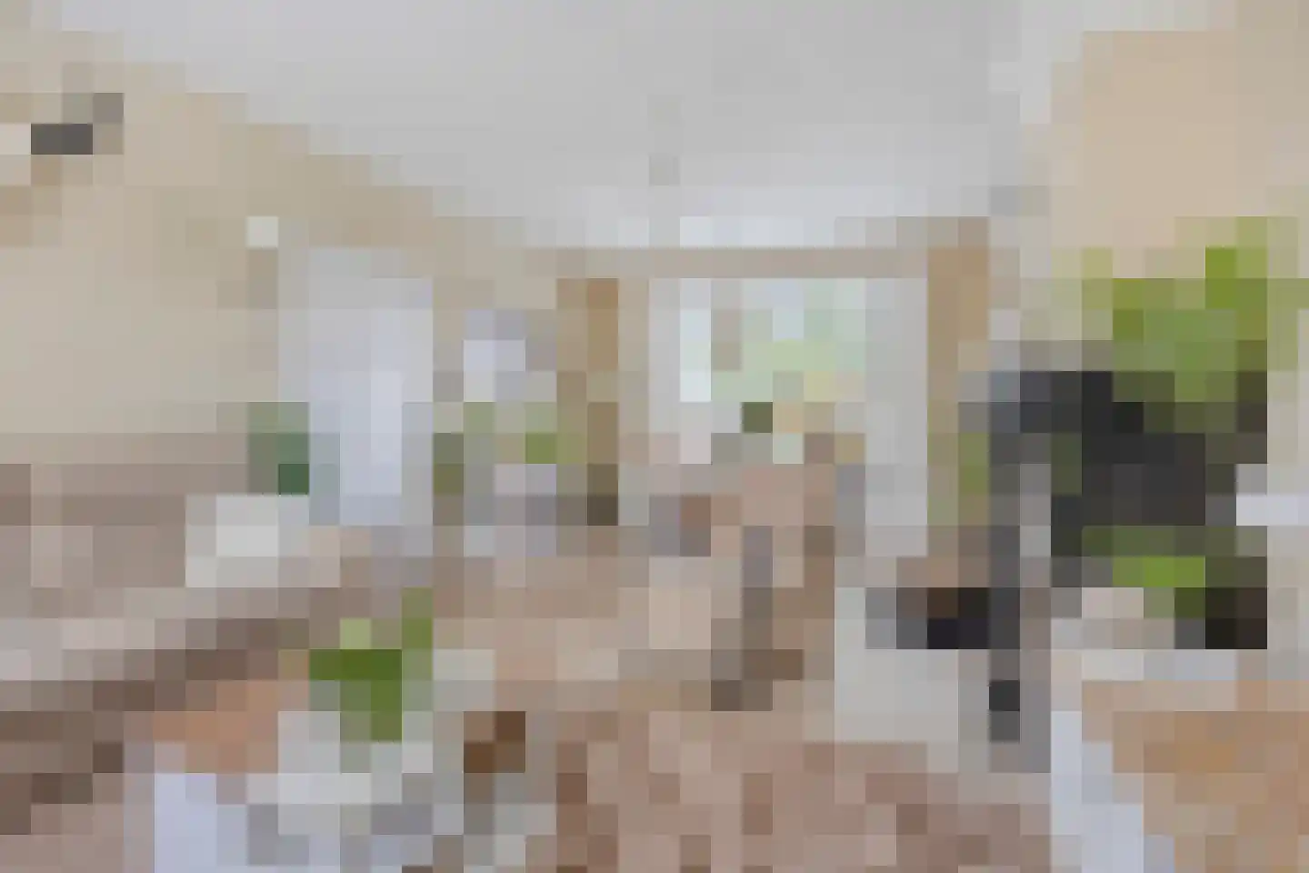 Dr. Willem Vosstraat 18 Poortugaal thumbnail 10