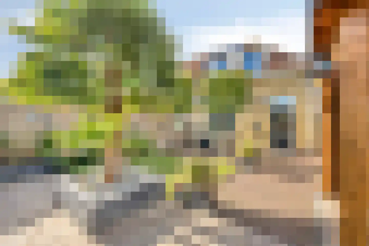 Dr. Willem Vosstraat 18 Poortugaal thumbnail 23