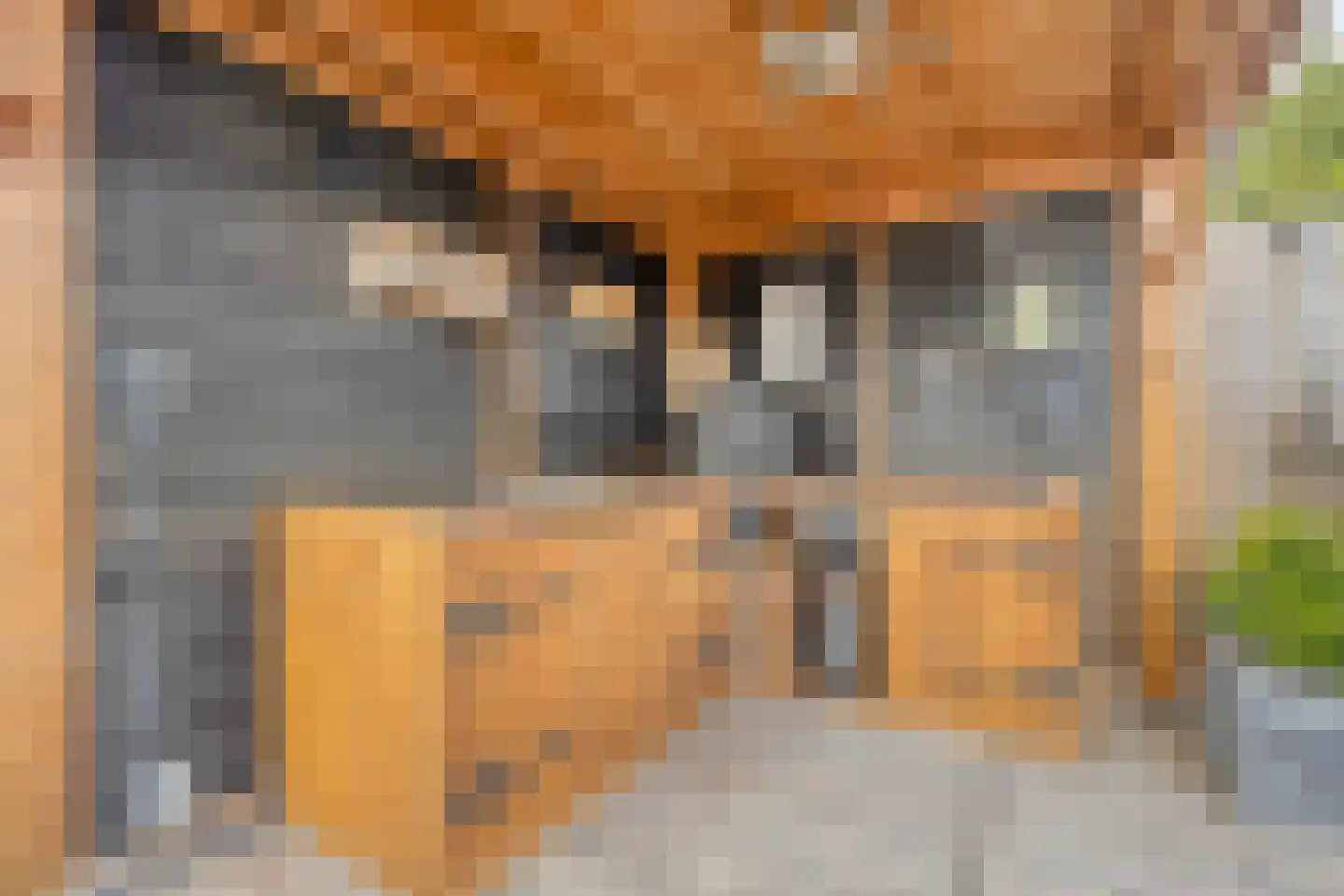 Dr. Willem Vosstraat 18 Poortugaal thumbnail 30