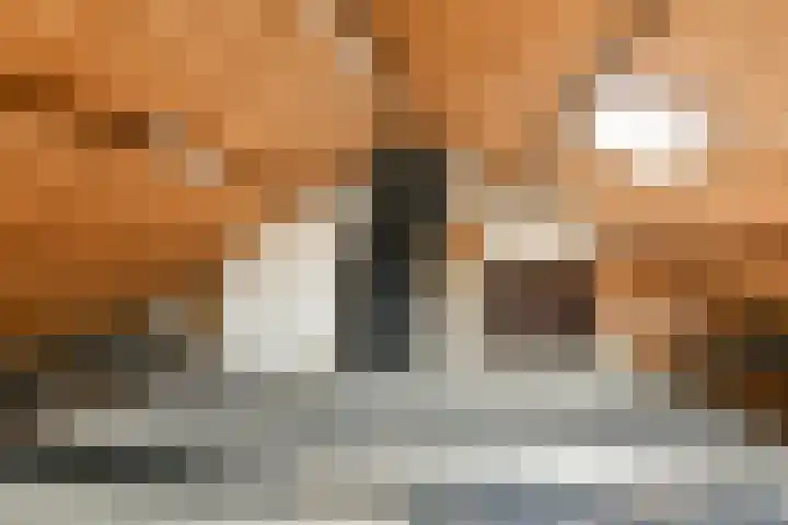 Dr. Willem Vosstraat 2 Poortugaal thumbnail 23