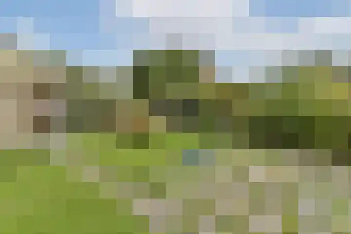 Dr. Willem Vosstraat 2 Poortugaal thumbnail 27