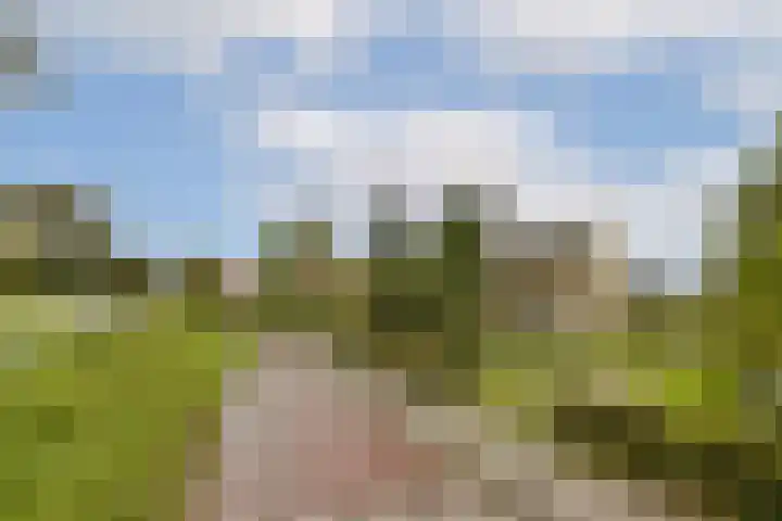 Dr. Willem Vosstraat 2 Poortugaal thumbnail 28