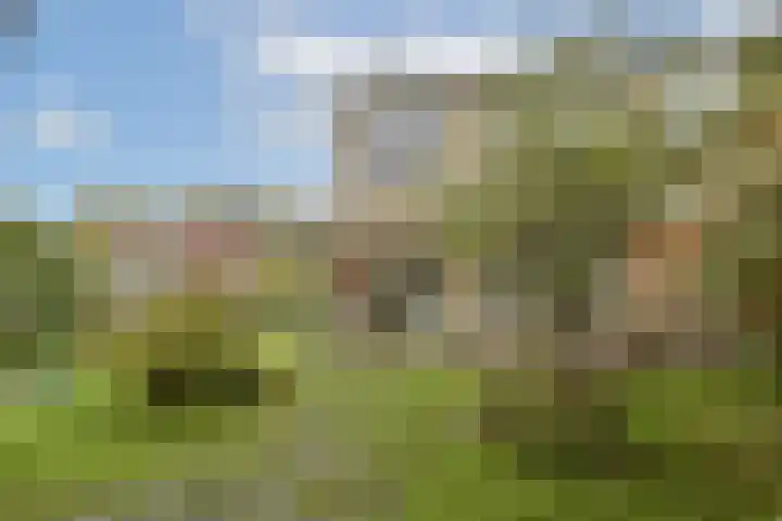 Dr. Willem Vosstraat 2 Poortugaal thumbnail 5