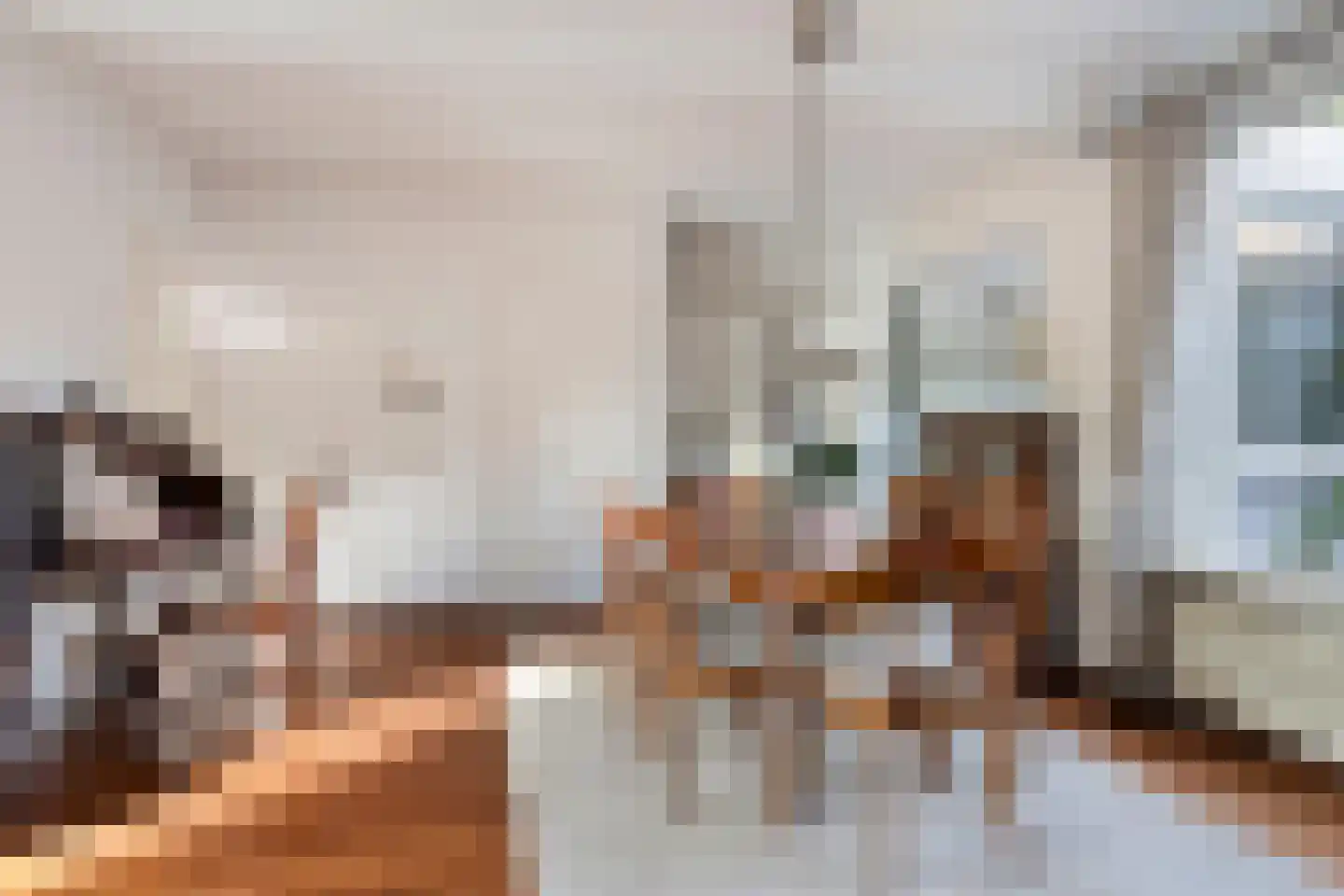 Dr. Zamenhoflaan 214 Enschede thumbnail 17