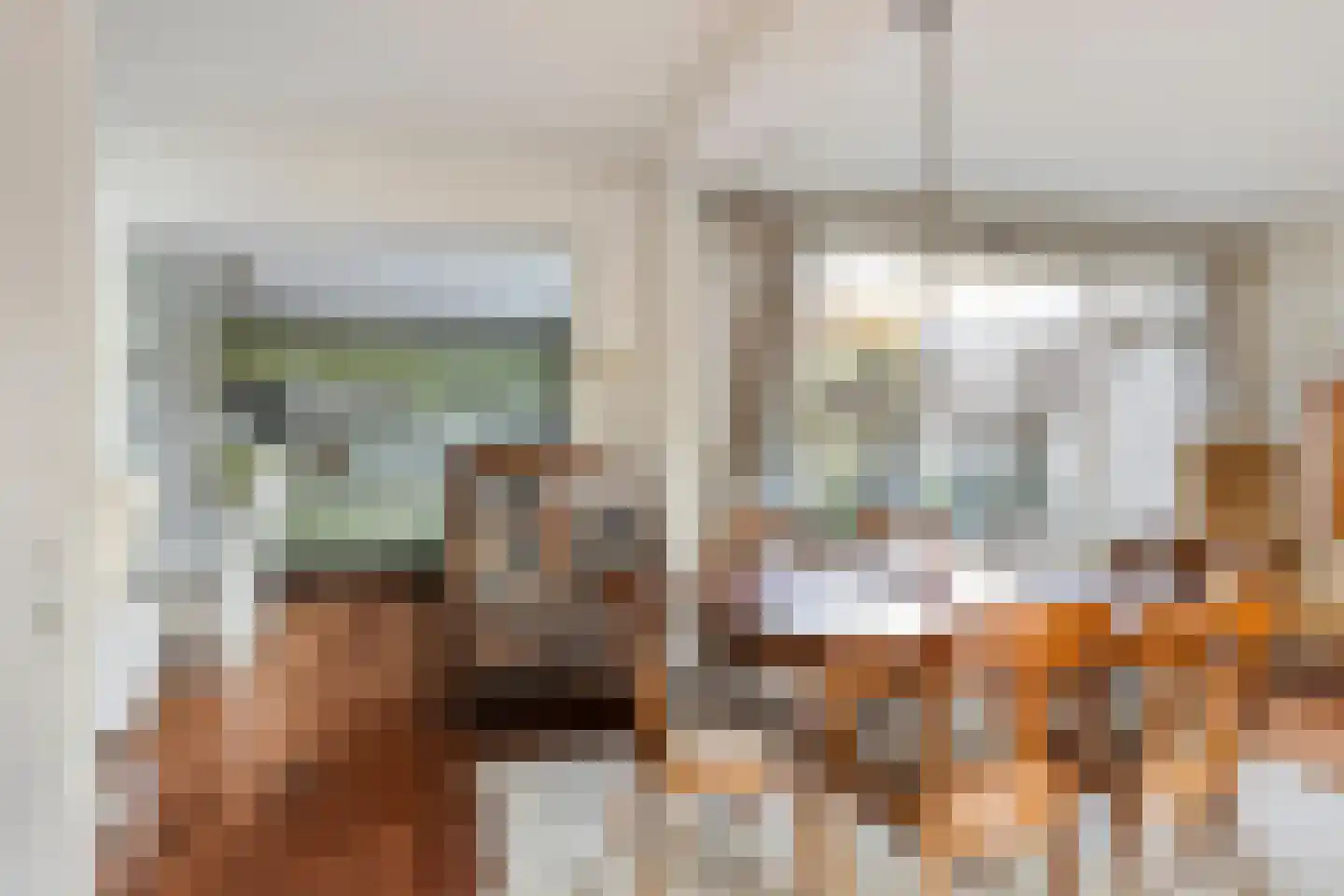 Dr. Zamenhoflaan 214 Enschede thumbnail 18