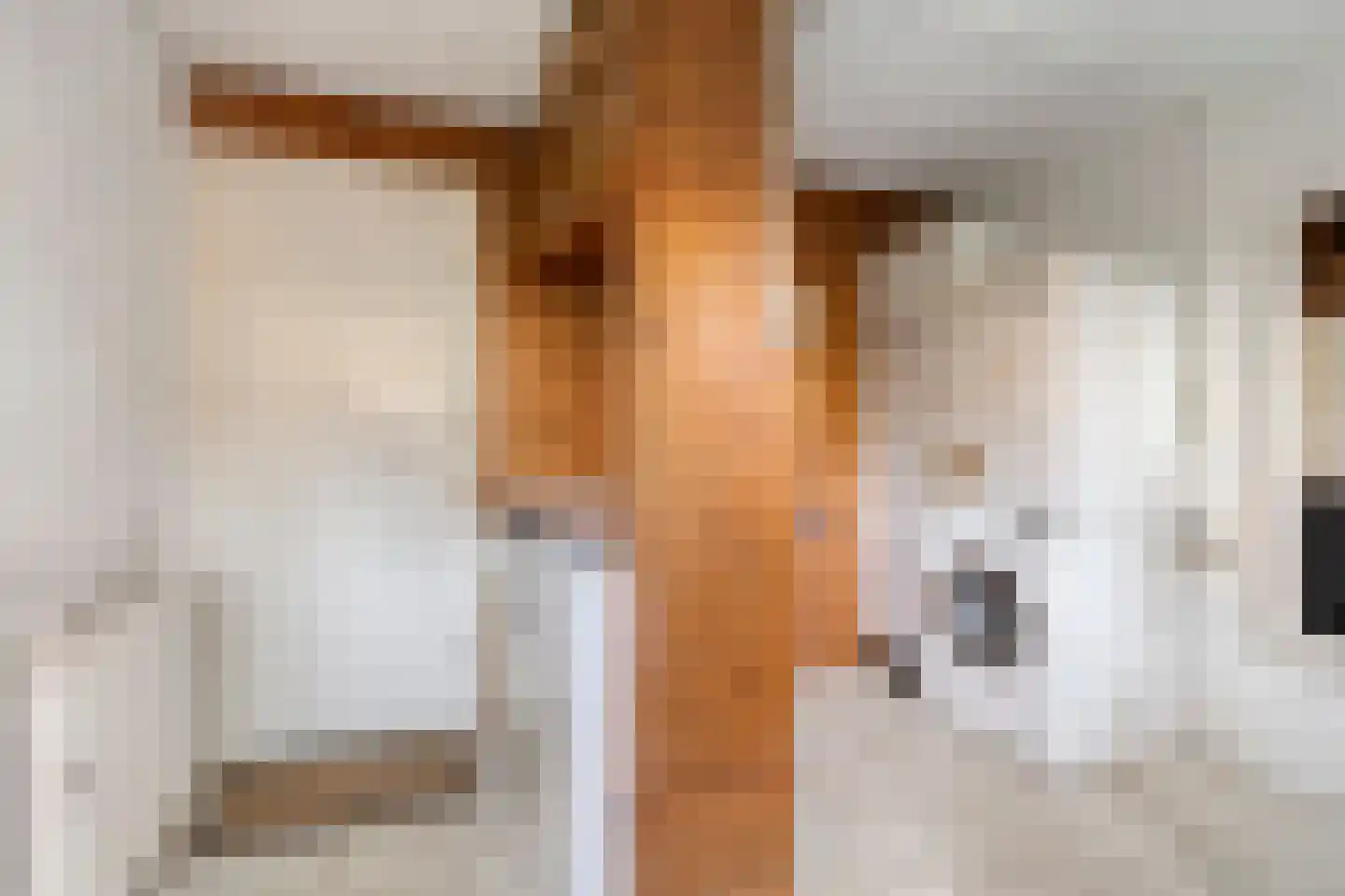 Dr. Zamenhoflaan 214 Enschede thumbnail 23