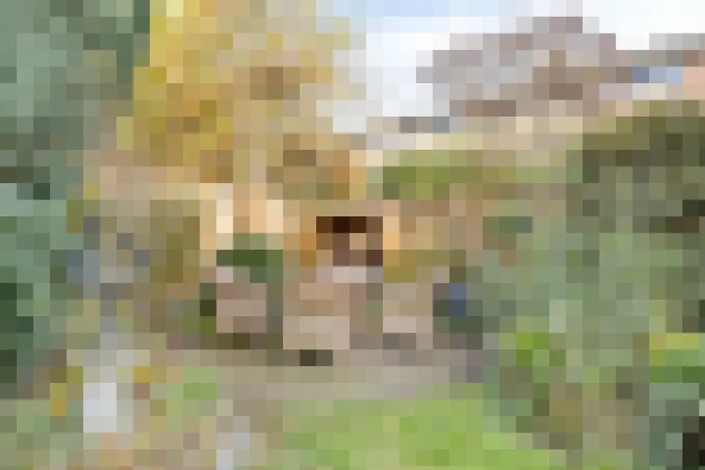 Dr. Zamenhoflaan 214 Enschede thumbnail 39