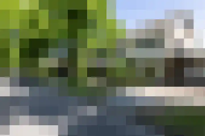 Dr. Zamenhoflaan 218 Enschede thumbnail 11