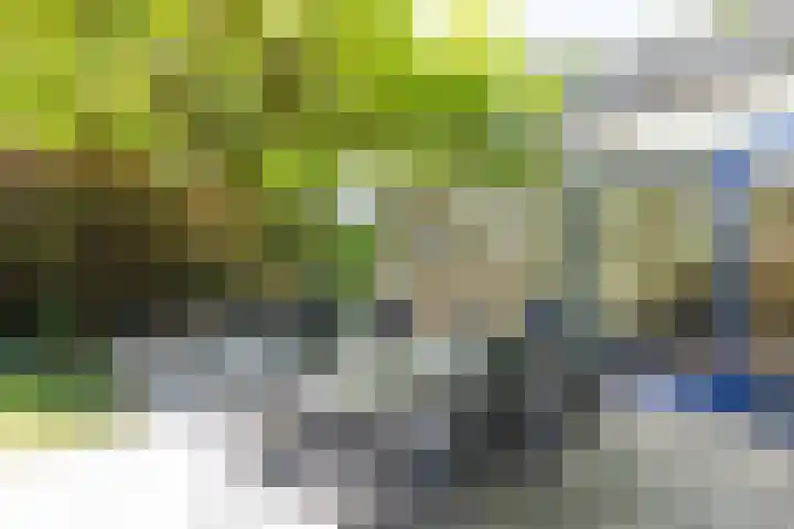 Dr. Zamenhoflaan 218 Enschede thumbnail 59