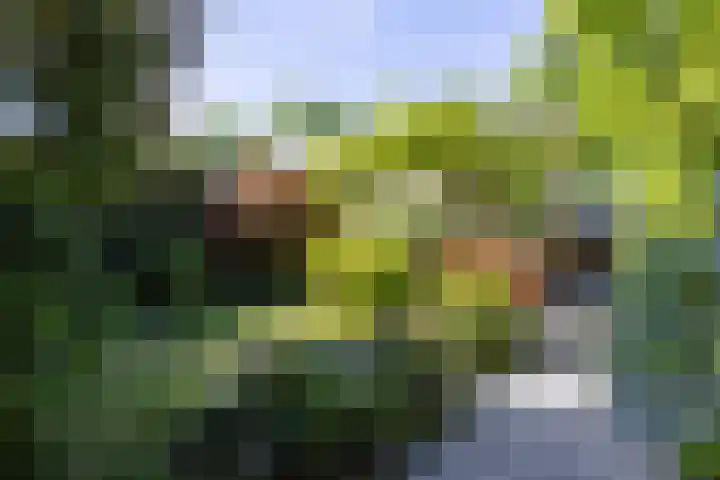 Dr. Zamenhoflaan 218 Enschede thumbnail 63