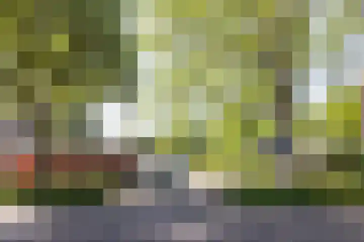 Dr. Zamenhoflaan 218 Enschede thumbnail 66