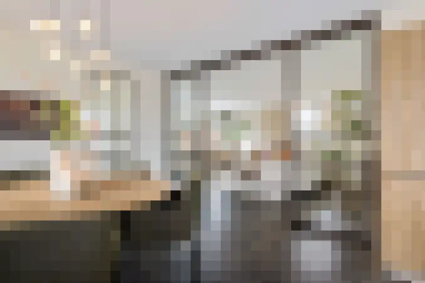 Dr. Zamenhoflaan 226 Enschede thumbnail 12