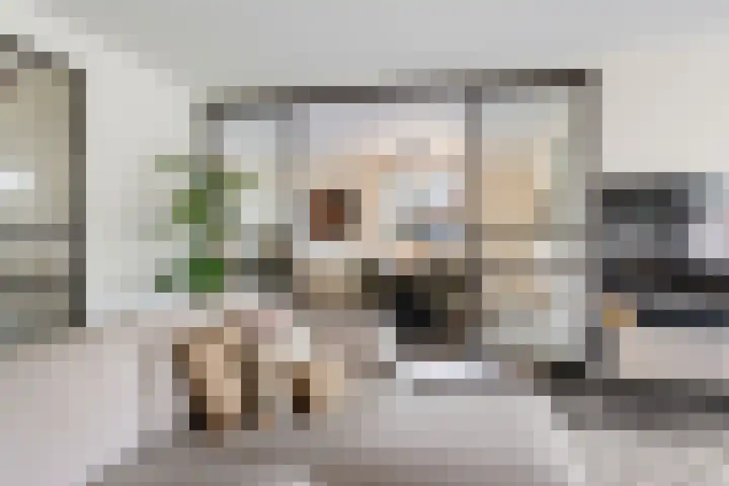Dr. Zamenhoflaan 226 Enschede thumbnail 17