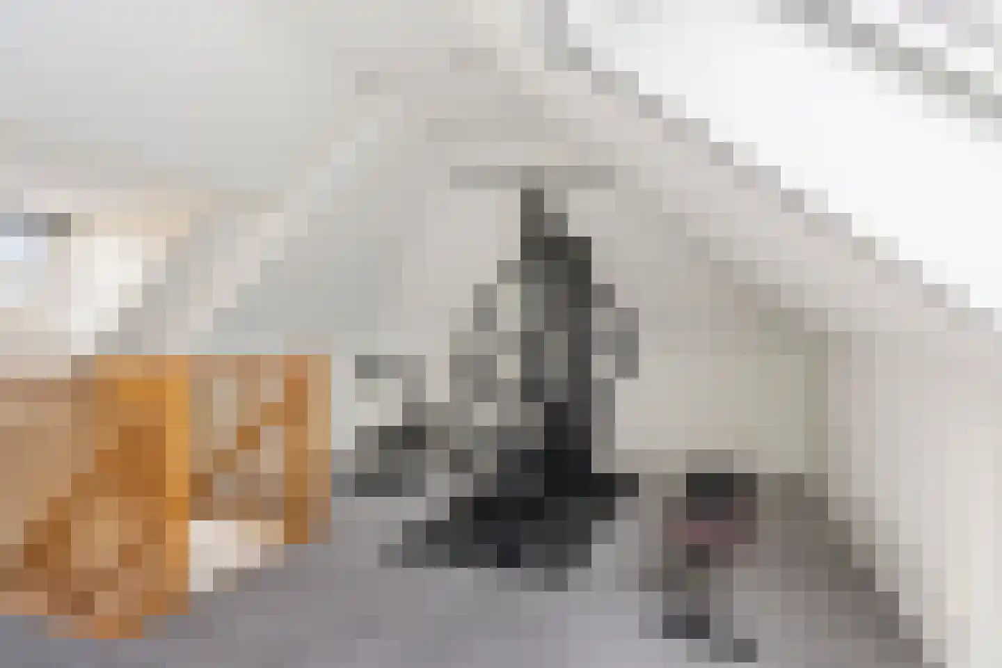 Dr. Zamenhoflaan 226 Enschede thumbnail 33