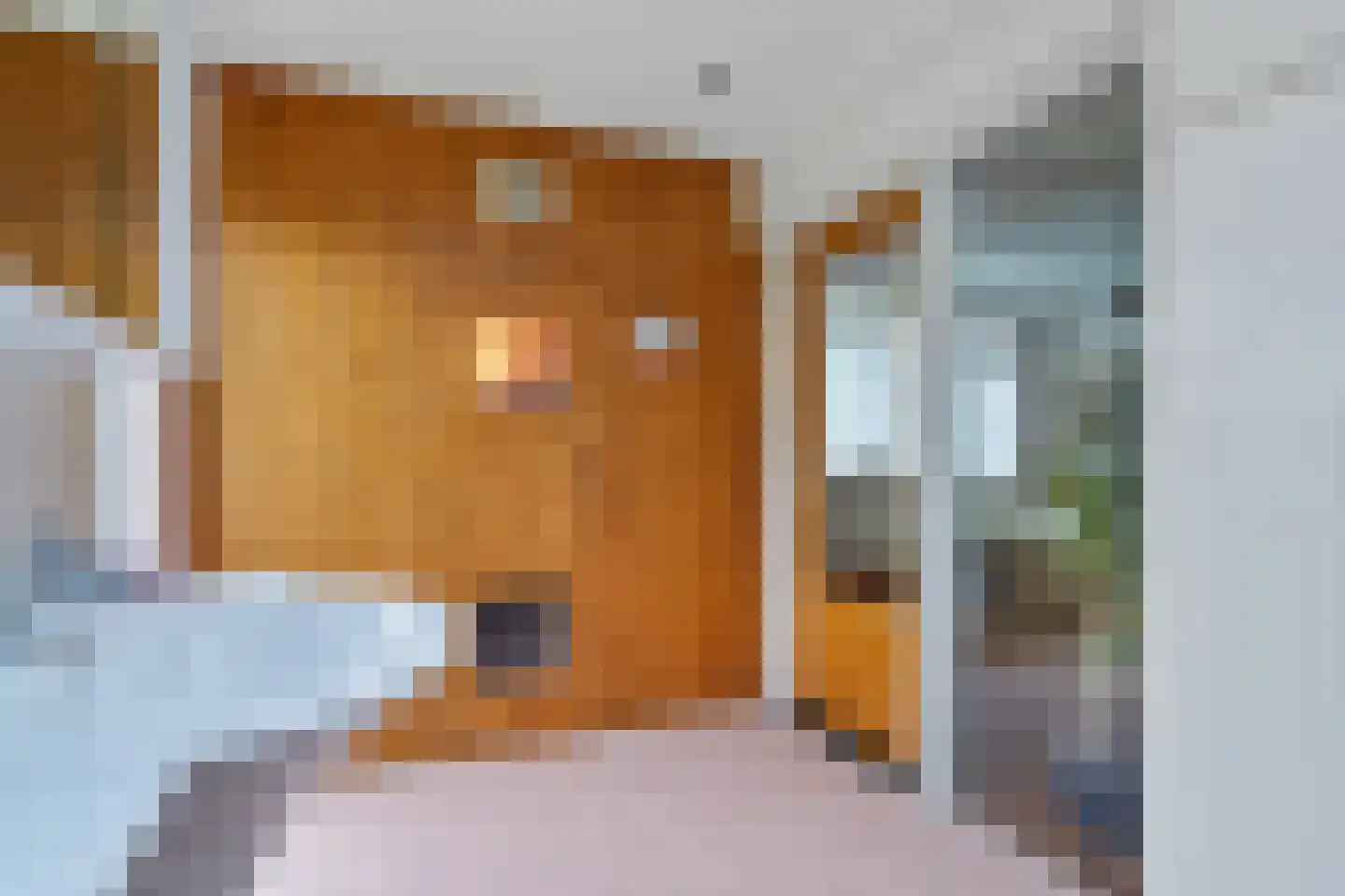 Dr. Zamenhoflaan 72 Enschede thumbnail 37