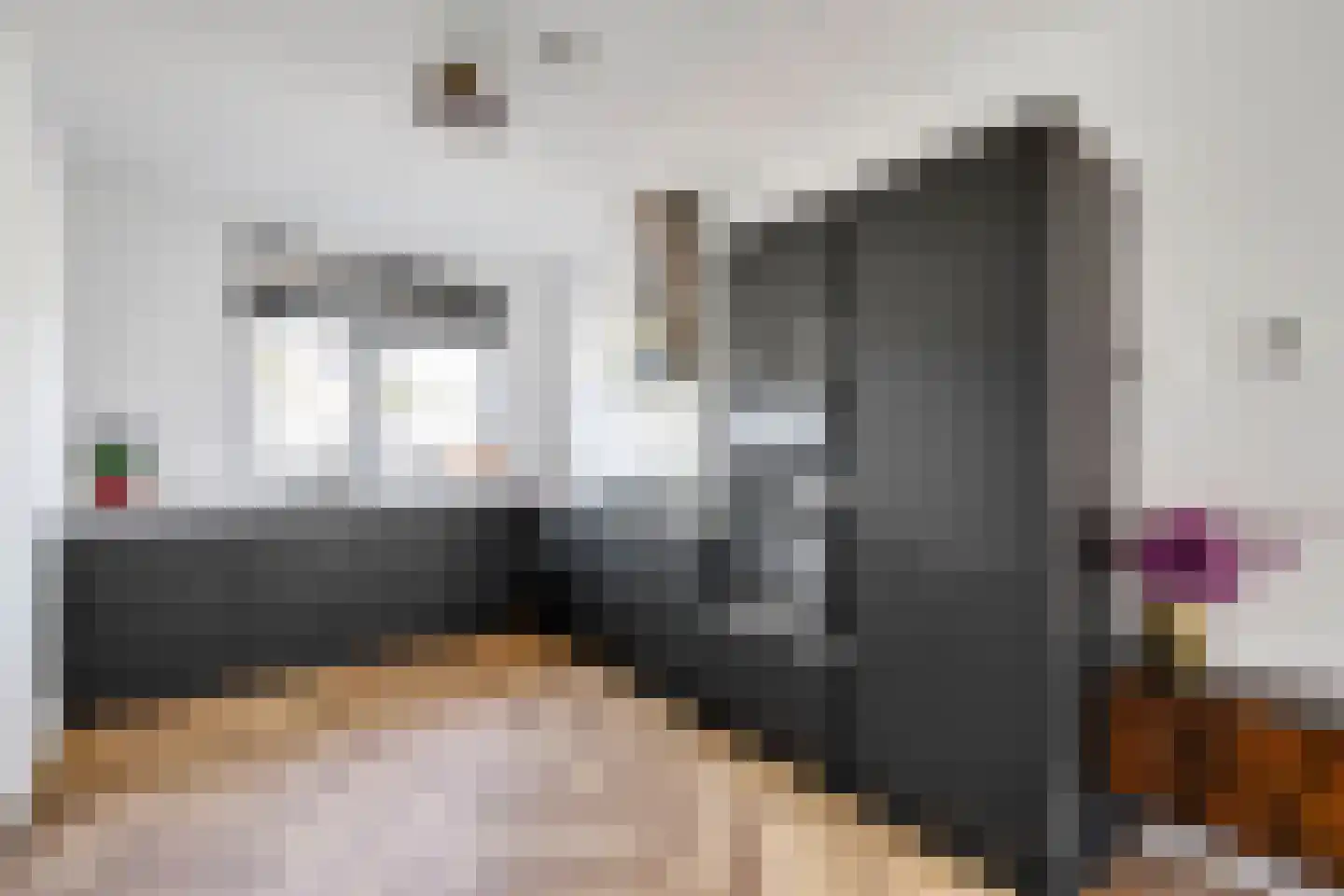 Dr Zamenhofpad 4 Schiedam thumbnail 12