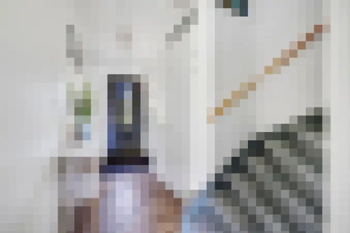 Dr Zamenhofpad 4 Schiedam thumbnail 19
