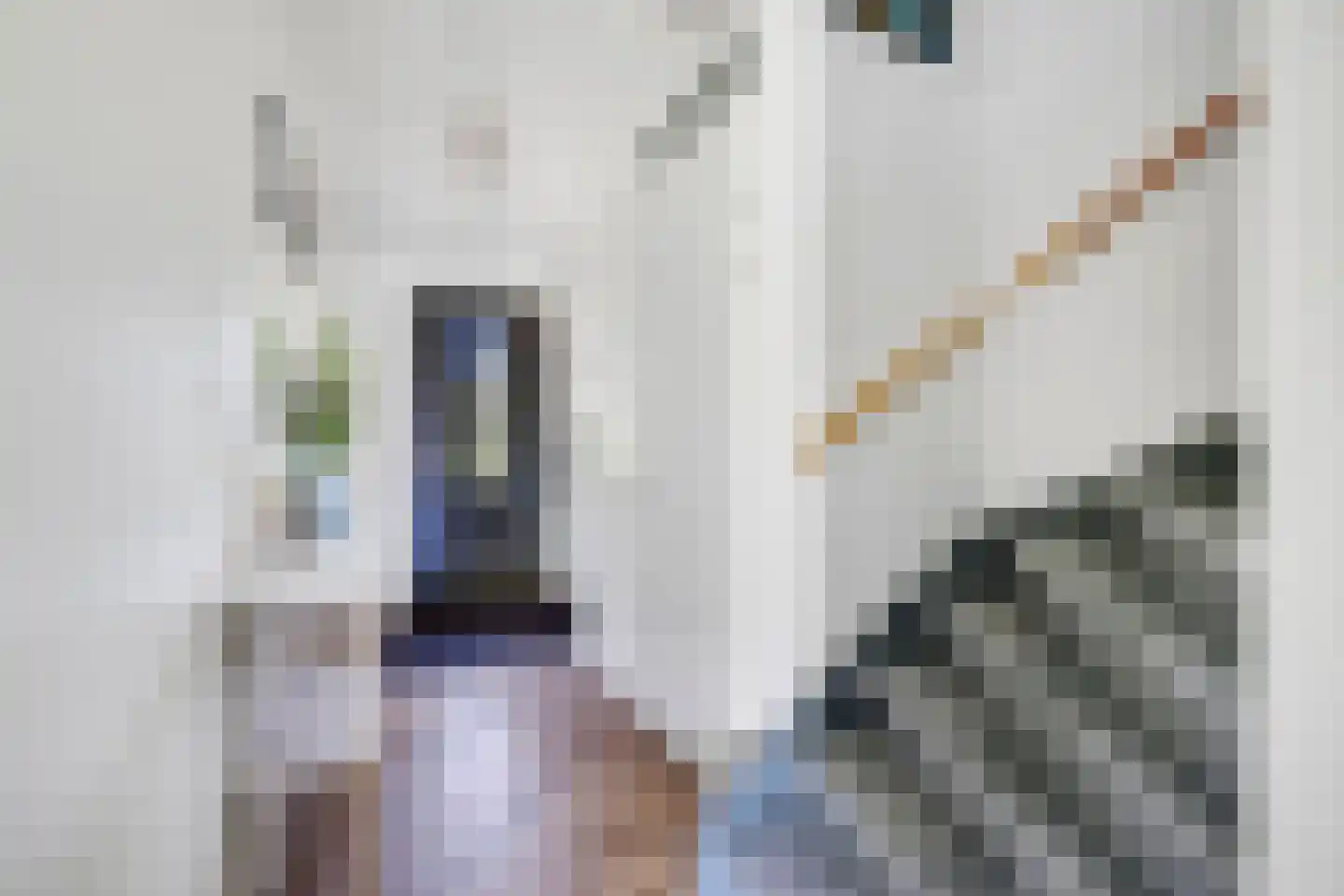 Dr Zamenhofpad 4 Schiedam thumbnail 20