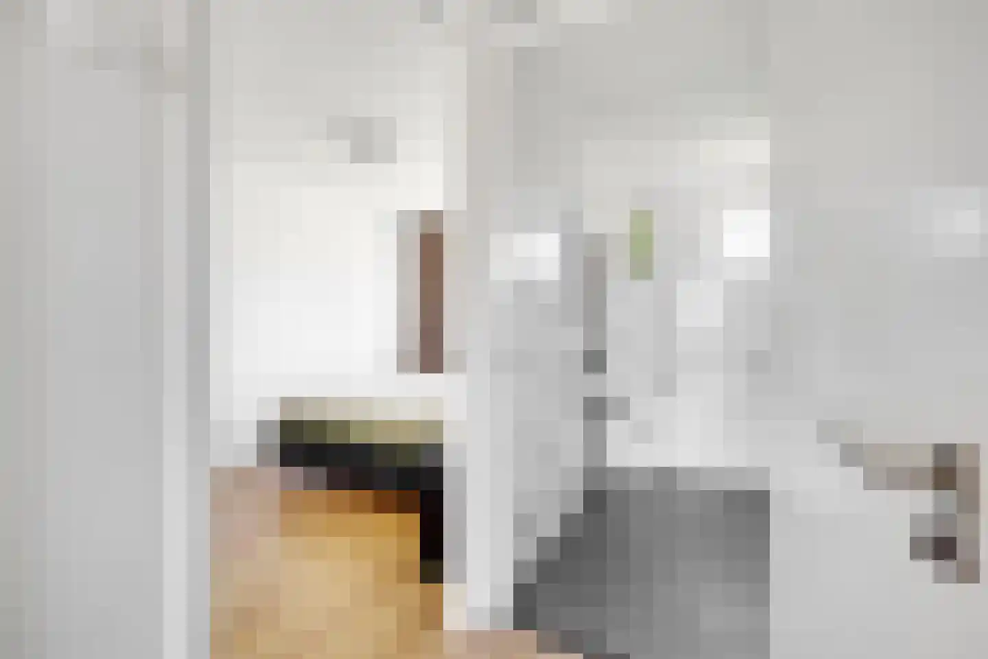 Dr Zamenhofpad 4 Schiedam thumbnail 22