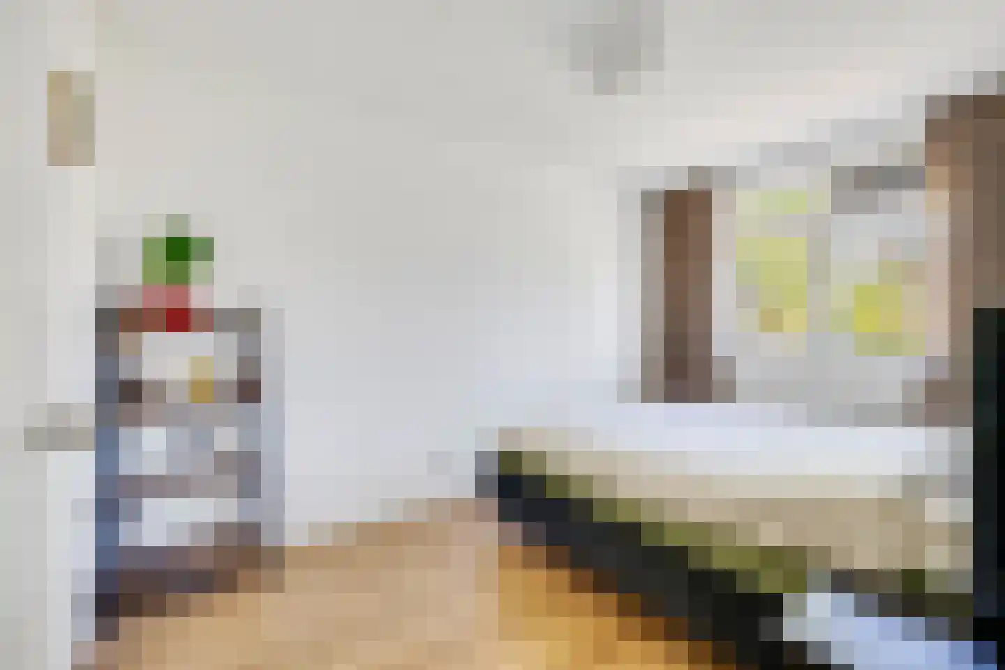 Dr Zamenhofpad 4 Schiedam thumbnail 23