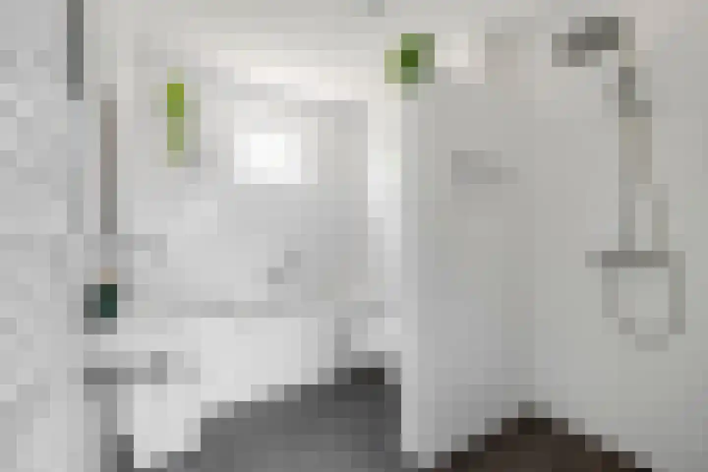 Dr Zamenhofpad 4 Schiedam thumbnail 26