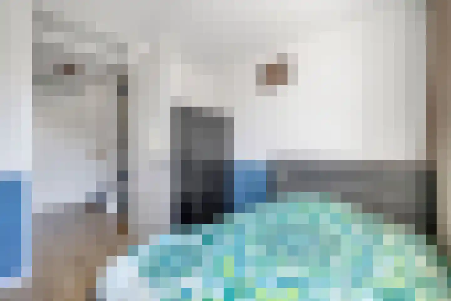 Dr Zamenhofpad 4 Schiedam thumbnail 30