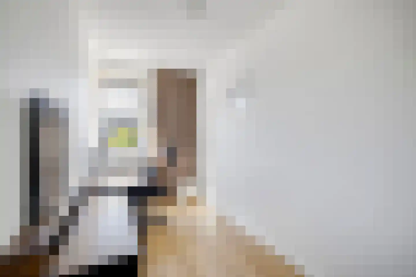 Dr Zamenhofpad 4 Schiedam thumbnail 31