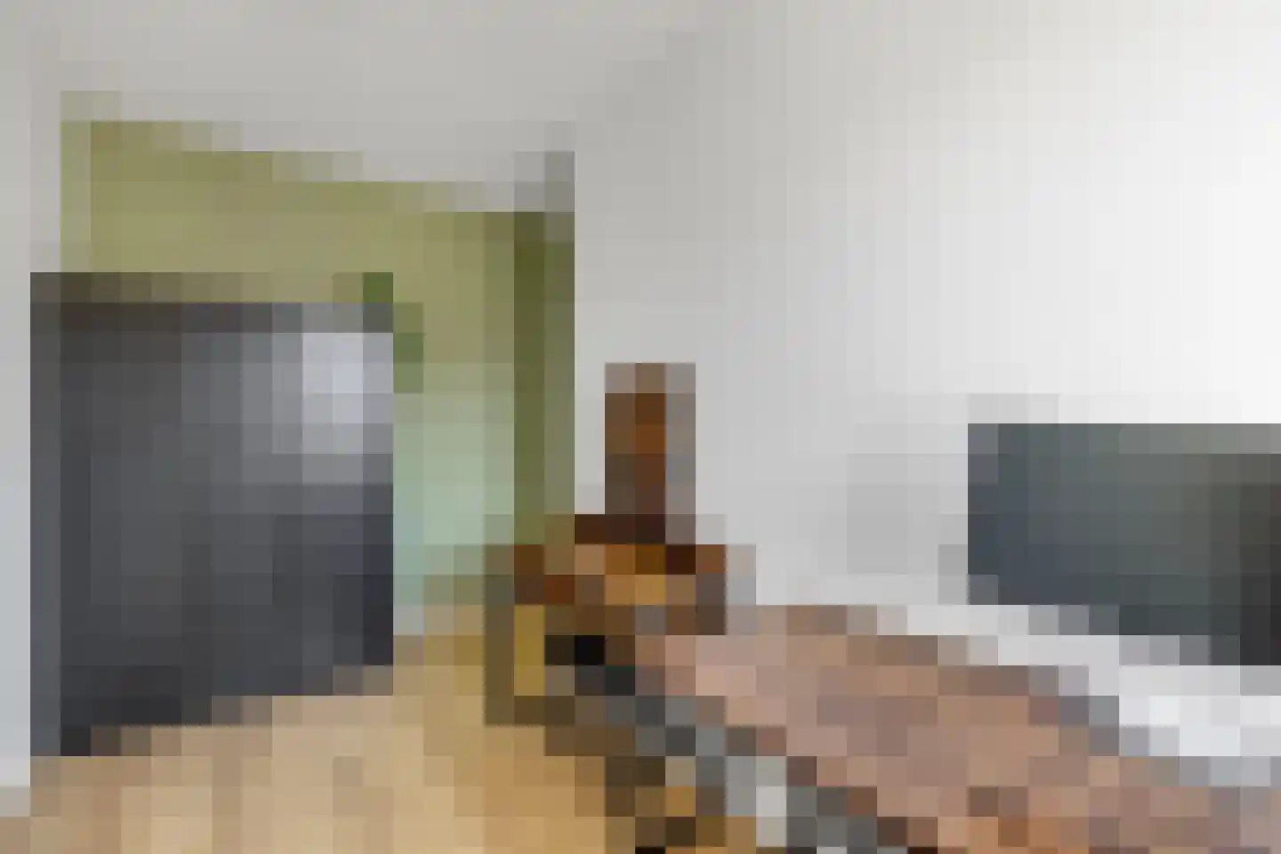 Dr Zamenhofpad 4 Schiedam thumbnail 32