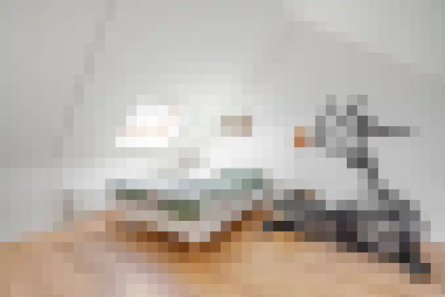 Dr Zamenhofpad 4 Schiedam thumbnail 35