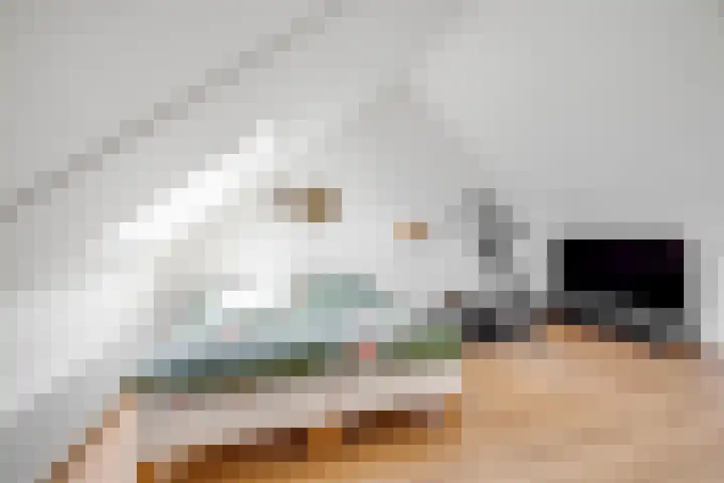 Dr Zamenhofpad 4 Schiedam thumbnail 36