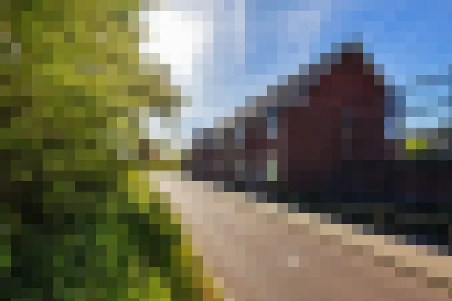 Dr Zamenhofpad 4 Schiedam thumbnail 39