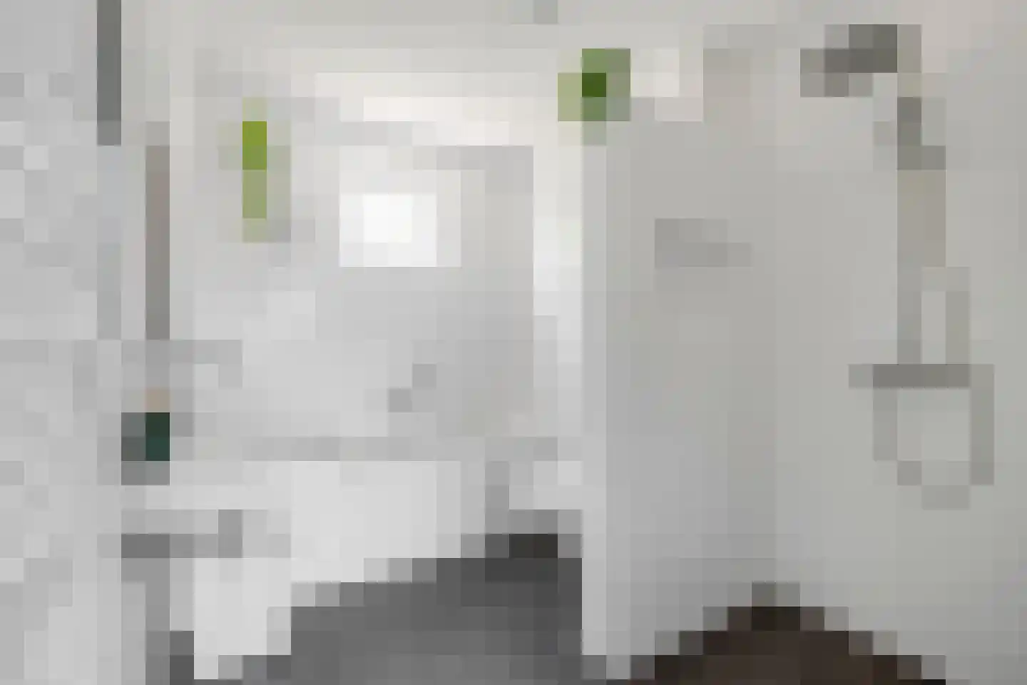 Dr Zamenhofpad 4 Schiedam thumbnail 4