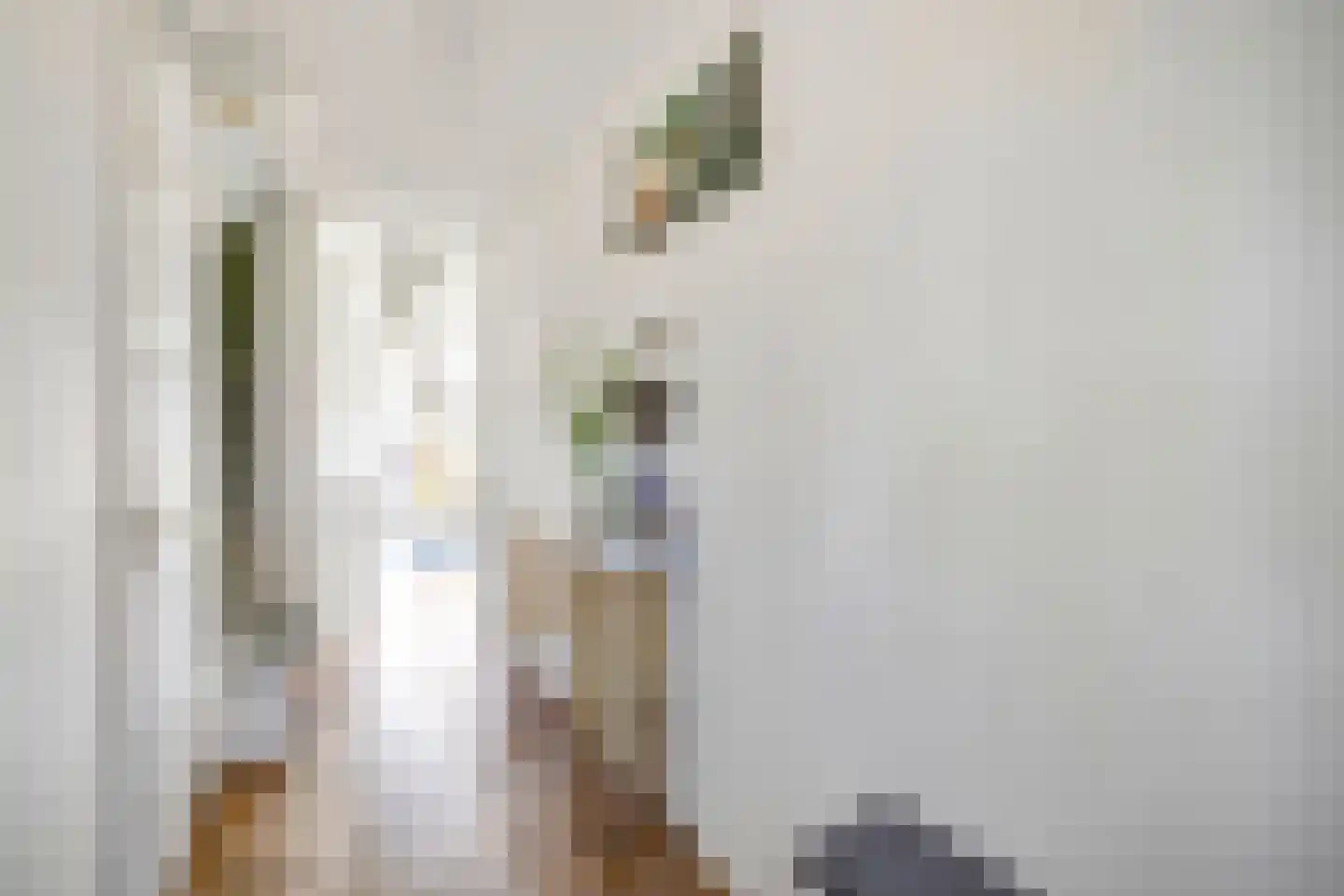 Dr Zamenhofpad 4 Schiedam thumbnail 7