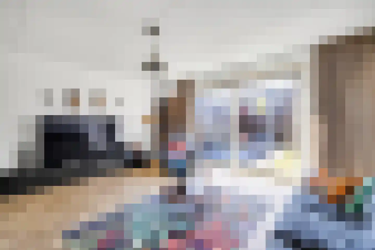 Dr Zamenhofpad 4 Schiedam thumbnail 8