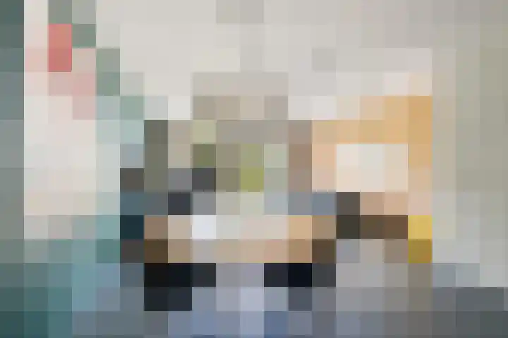 Dr Zamenhofpad 42 Schiedam thumbnail 10