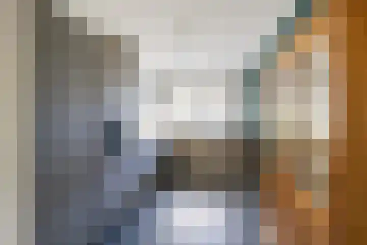 Dr Zamenhofpad 42 Schiedam thumbnail 16