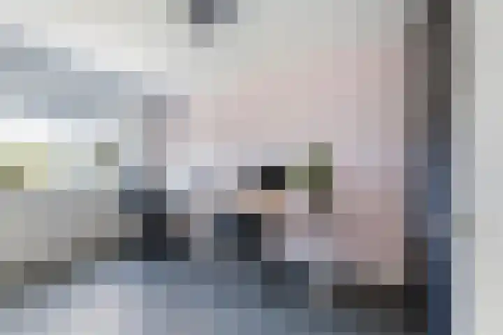 Dr Zamenhofpad 42 Schiedam thumbnail 22