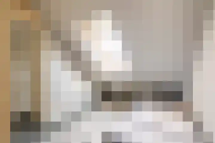 Dr Zamenhofpad 42 Schiedam thumbnail 27