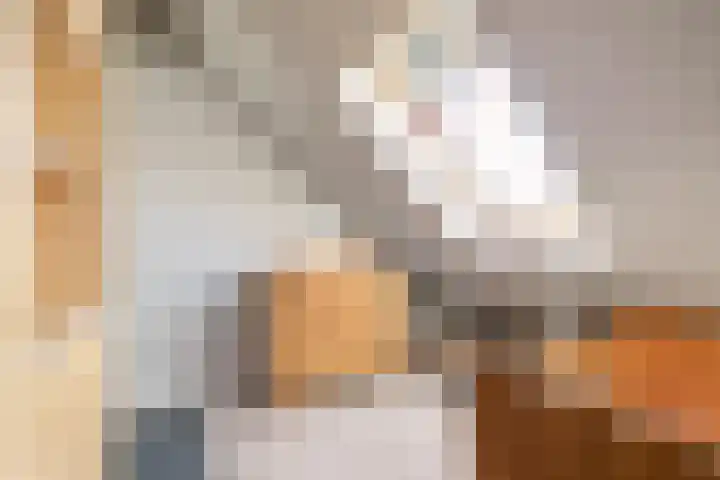 Dr Zamenhofpad 42 Schiedam thumbnail 30