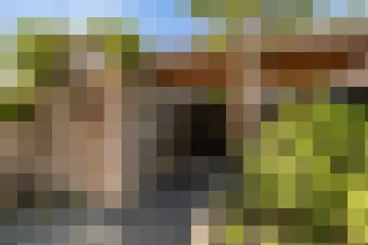 Dr Zamenhofpad 42 Schiedam thumbnail 31