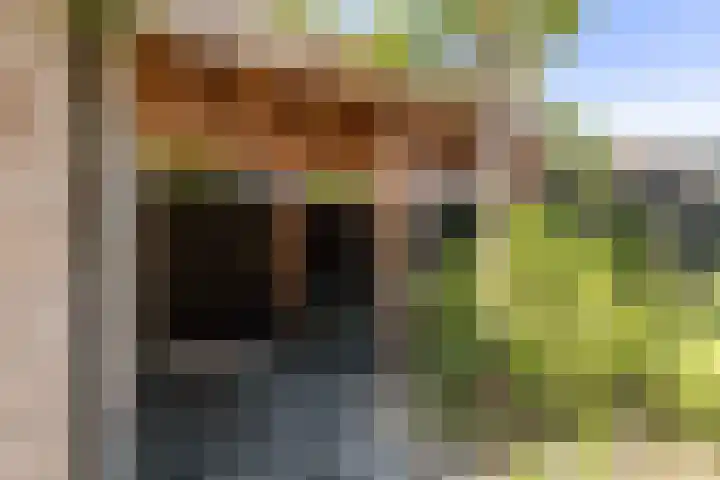 Dr Zamenhofpad 42 Schiedam thumbnail 32