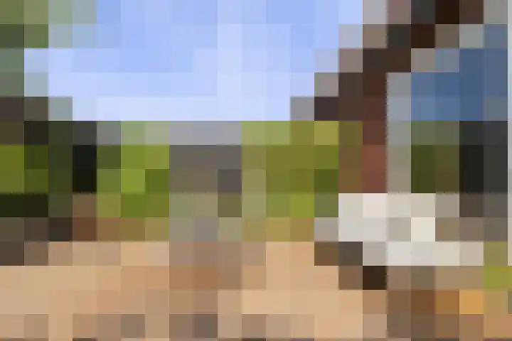 Dr Zamenhofpad 42 Schiedam thumbnail 33