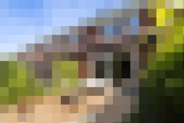 Dr Zamenhofpad 42 Schiedam thumbnail 35