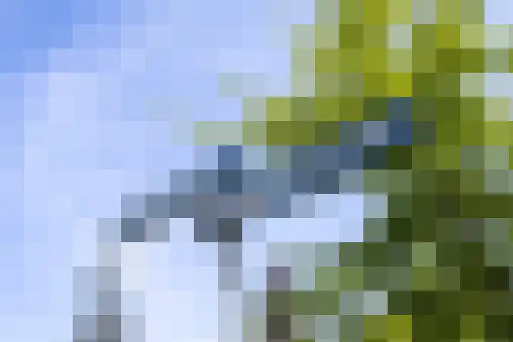 Dr Zamenhofpad 42 Schiedam thumbnail 37