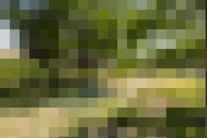 Dr Zamenhofpad 42 Schiedam thumbnail 38