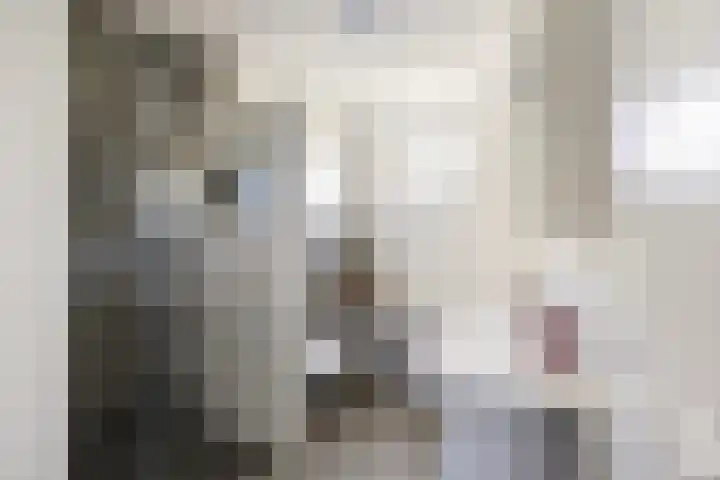 Dr Zamenhofpad 42 Schiedam thumbnail 4
