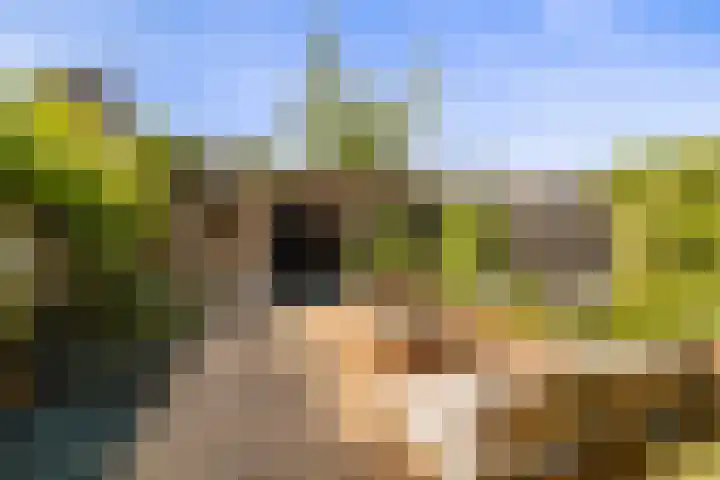 Dr Zamenhofpad 42 Schiedam thumbnail 5