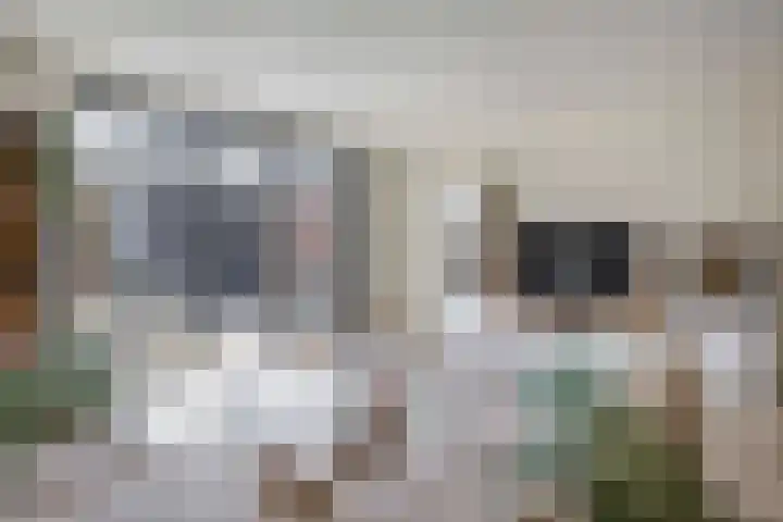 Dr Zamenhofpad 8 Schiedam thumbnail 11